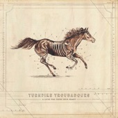 Turnpike Troubadours - Oklahoma Stars