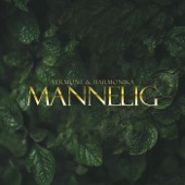 Mannelig artwork