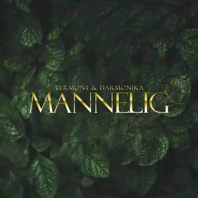 Mannelig - Single - Vermont