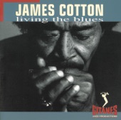 Living the Blues artwork