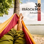 30 Fräsch Mix: Avkoppling – Instrumental bakgrund Musik för Spa & Wellness, Massage, Meditation, Studera, Sova artwork