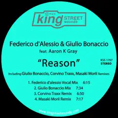 Reason (feat. Aaron K. Gray) - EP by Federico D'Alessio & Giulio Bonaccio album reviews, ratings, credits