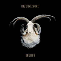 Bruiser (The Remixes) - EP - The Duke Spirit