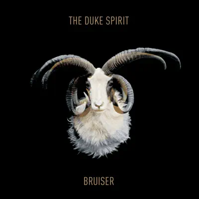 Bruiser (The Remixes) - EP - The Duke Spirit