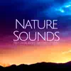 Nature Sounds - Rain, Birds, Wind, Harmony of Mind, Tibetan Meditation Music album lyrics, reviews, download