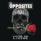 Sukkel Voor De Liefde (feat. Mr. Probz) artwork