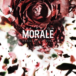 The Color Morale On Apple Music
