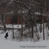 Pachyderm Sessions - EP