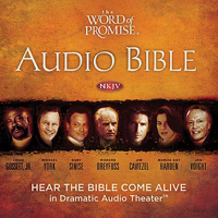 Thomas Nelson, Inc. - The Word of Promise Audio Bible - New King James Version, NKJV: (24) Matthew (Unabridged) artwork