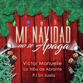 Mi Navidad No Se Apaga (feat. La Tribu de Abrante & Pj Sin Suela) artwork