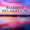 Ambient Relaxation - Natural Aid for Sleep, Ambient Music for Relax, Wellness & Stress Reduction album lyrics, reviews, download