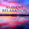 Ambient Relaxation - Natural Aid for Sleep, Ambient Music for Relax, Wellness & Stress Reduction, 2018