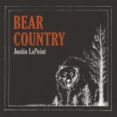 Bear Country artwork