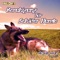 Beruhigung für Schäferhunde Theraphie 3 - 432 Hz lyrics