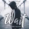 Wait (feat. Nic Perez) song lyrics