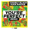 You're Perfect (Remix) song lyrics