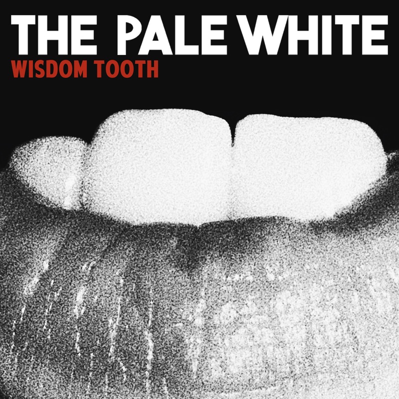 Pale white перевод. Pale White. Пэйл Уайт. Teeth текст.