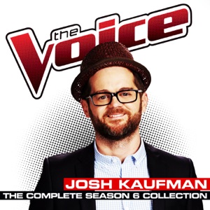 Josh Kaufman - I Can’t Make You Love Me - 排舞 音樂