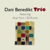 Dani Benedikt Trio