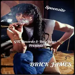 Brick James by Spoonzito album reviews, ratings, credits