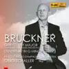 Bruckner: String Quintet in F Major (Arr. G. Schaller for Large Orchestra) & Overture in G Minor album lyrics, reviews, download