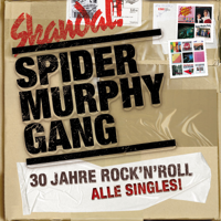 Spider Murphy Gang - 30 Jahre Rock'n'Roll - Alle Singles (2007 Remaster) artwork