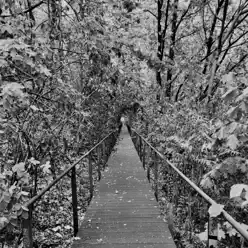 Nothing Is Right to the Left and Nothing Is Left to the Right - Nocturne Nothing Is Right to the Left and Nothing Is Left to the Right - Nocturne