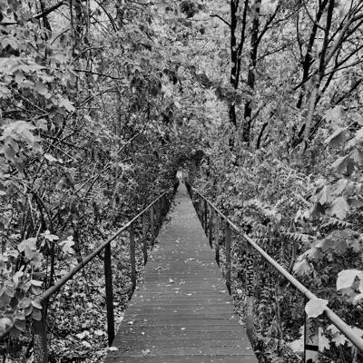 Nothing Is Right to the Left and Nothing Is Left to the Right - Nocturne