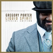 Liquid Spirit (Claptone Remix / Full Vocal Version) artwork