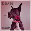 Budanois (feat. Vitor Gonçalves) - Single album lyrics, reviews, download