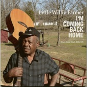 Little Willie Farmer - My Baby Is Gone