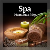 Spa cover