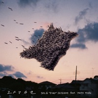 Ituneより購入