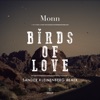 Birds of Love (Sander Kleinenberg Remix) - Single