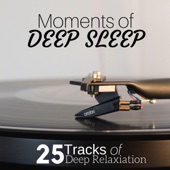 Moments of Deep Sleep: 25 Tracks of Deep Relaxiation for Deep Sleep, Relaxation After Long Day, Nature Sounds artwork