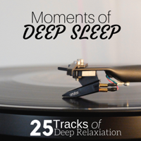 Wellness Music Club - Moments of Deep Sleep: 25 Tracks of Deep Relaxiation for Deep Sleep, Relaxation After Long Day, Nature Sounds artwork