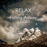 Restfull Sleep Music Collection - Relax & Falling Asleep at Night: The Very Best of 50 Deep Sleep Songs with Gentle Sounds of Nature artwork