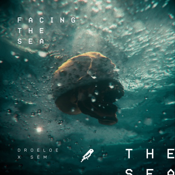 Cover artwork for Facing the Sea