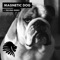 Magnetic Dog (Trevino Remix) - Alan Fitzpatrick lyrics