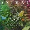 Animal - WOLVES lyrics
