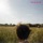 Blue For Noon - Never Near