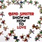 Show Me How to Love (feat. Danny Vacon) - Bend Sinister lyrics