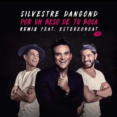 Por un Beso de Tu Boca (Remix) [feat. Estereobeat] - Single - Silvestre Dangond