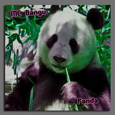 Panda - Single - MC Bangu
