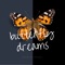 Butterfly Dreams - David de Miguel lyrics