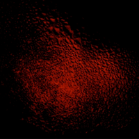 Tundra and Memories - One Second Old