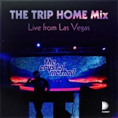 The Trip Home Mix - Live from Las Vegas (DJ Mix) artwork