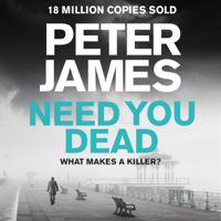 Peter James - Need You Dead artwork