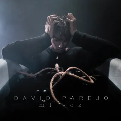 Mi voz - Single - David Parejo