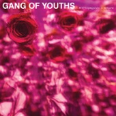 Do Not Let Your Spirit Wane (MTV Unplugged Live In Melbourne) by Gang of Youths